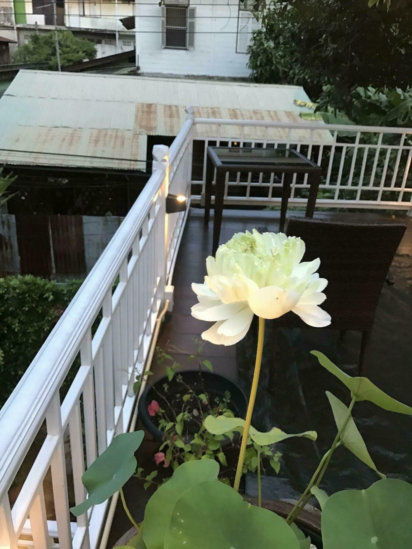 Baankachitpan Bangkok Hotel Екстериор снимка